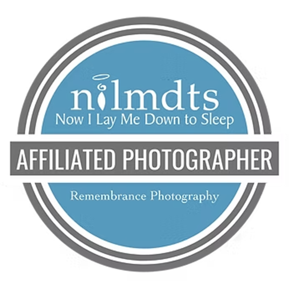 NILMDTS