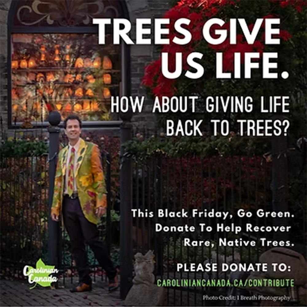 Fundraiser Hero Image - Carolinian Canada | 1 Breath Photography