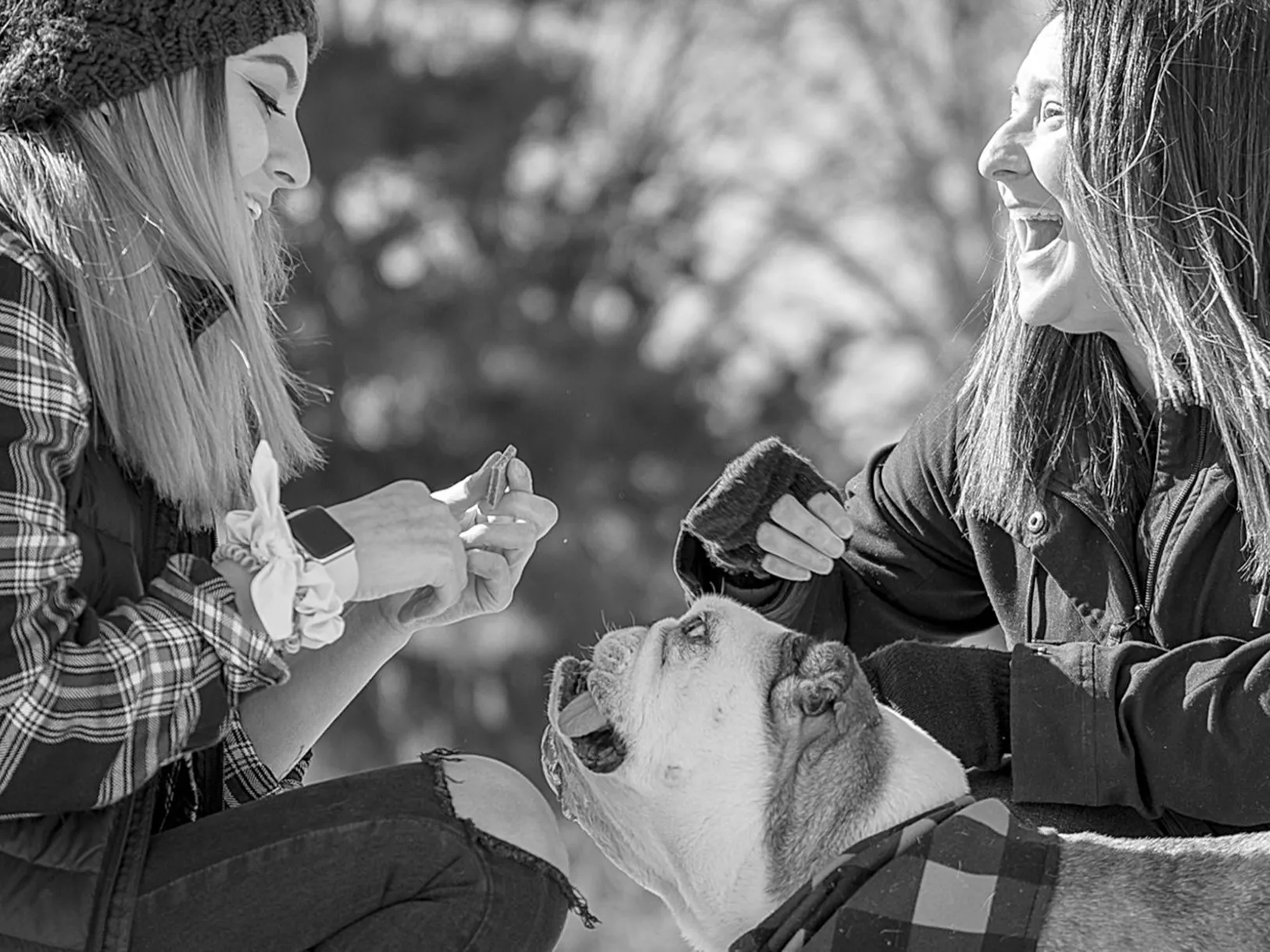 Pet Portraits | 1 Breath Photography
