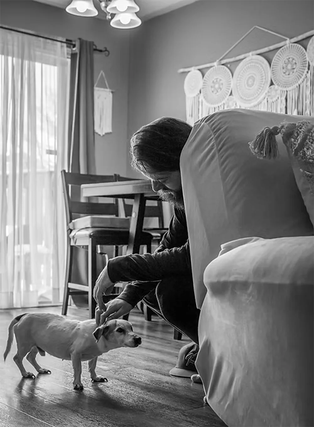 Jack | Pet Memorial Photography | 1 Breath Photography